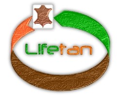 logo lifetan